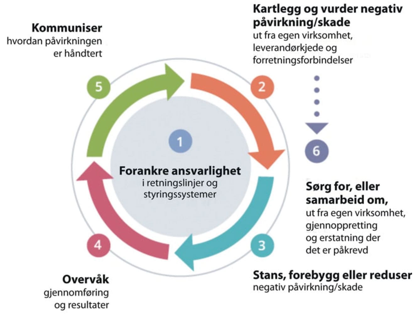 Åpenhetsloven forankre ansvarlighet forankre ansvarlighet
